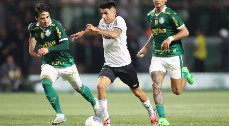 palmeiras-botafogo-brasileiro-e1732751906496