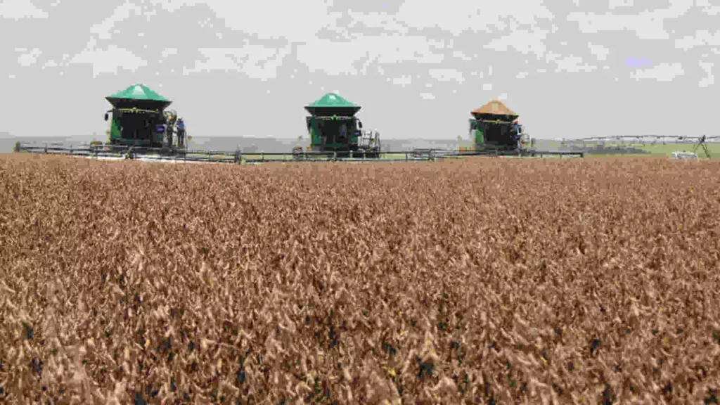safra-soja-agronegocio-1536x864